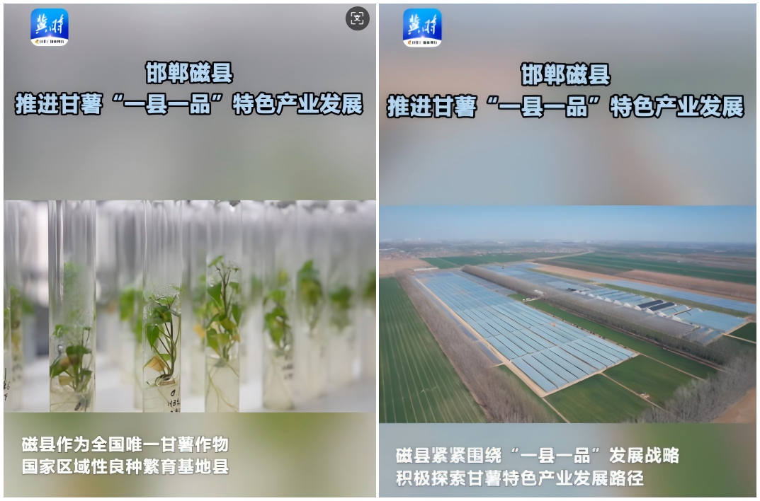 WPS拼圖0.png